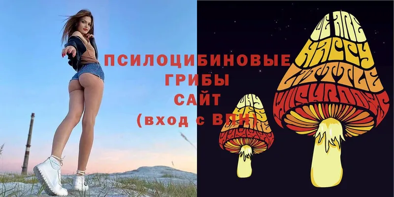 Галлюциногенные грибы Psilocybe  Киров 